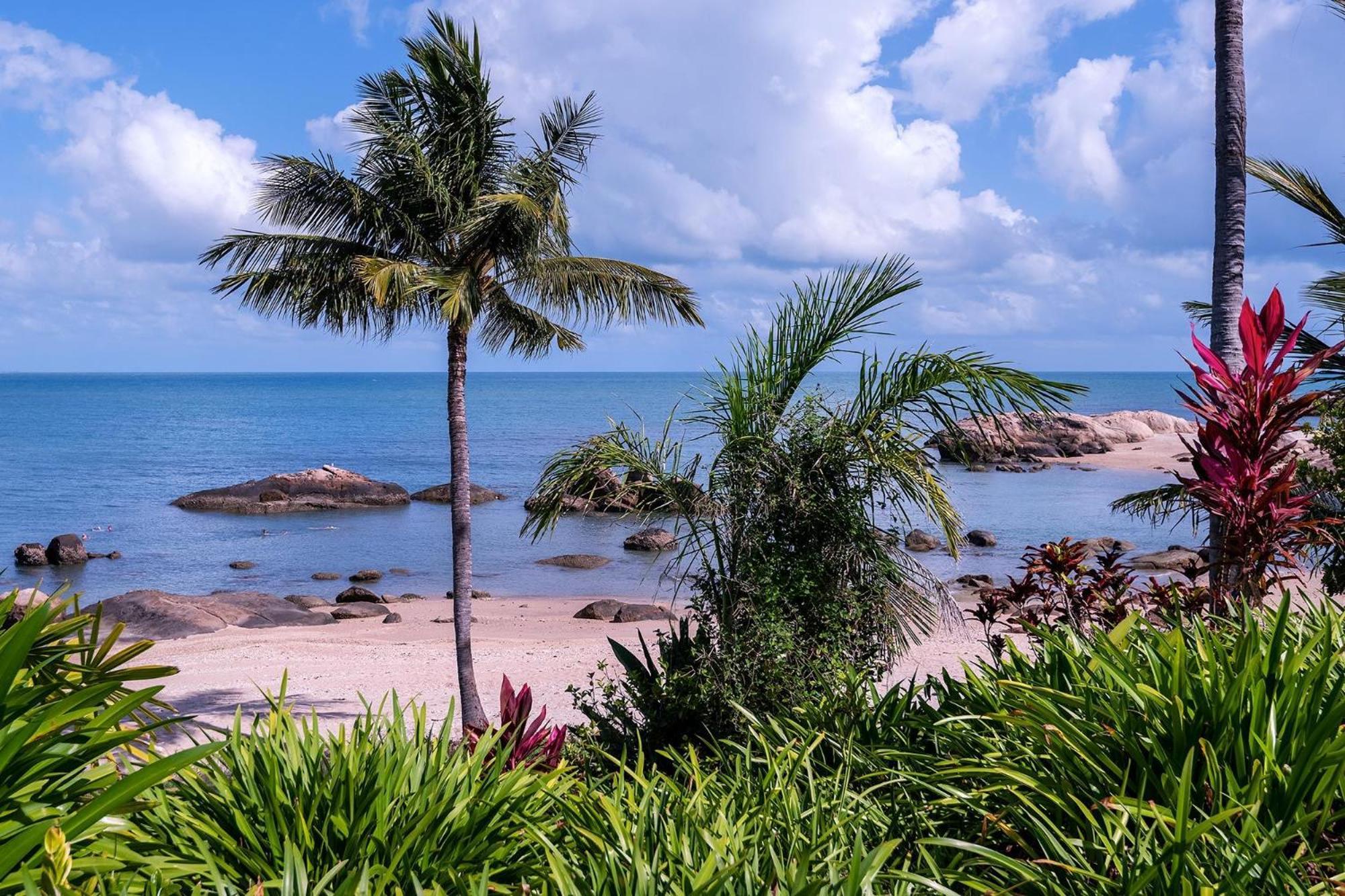 Coral Cove Apartments - Absolute Beachfront Resort Bowen Kültér fotó